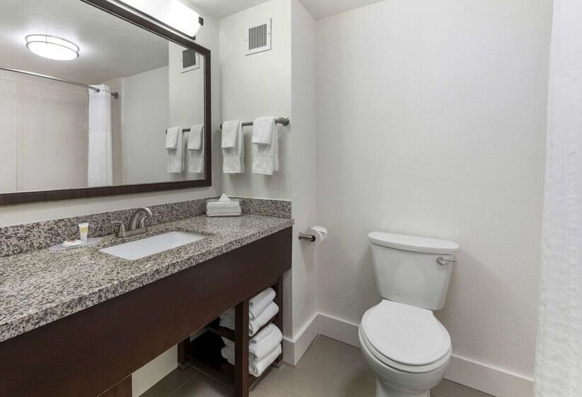 Отель Comfort Suites