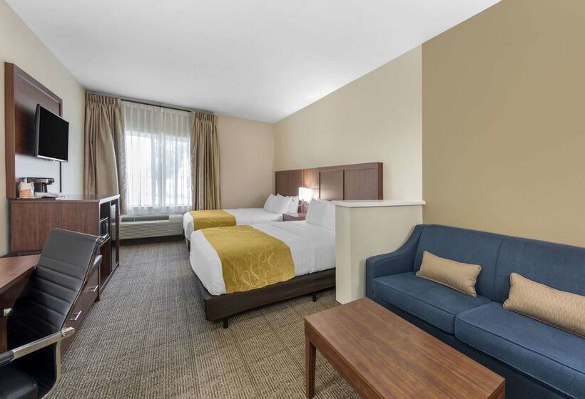 Отель Comfort Suites