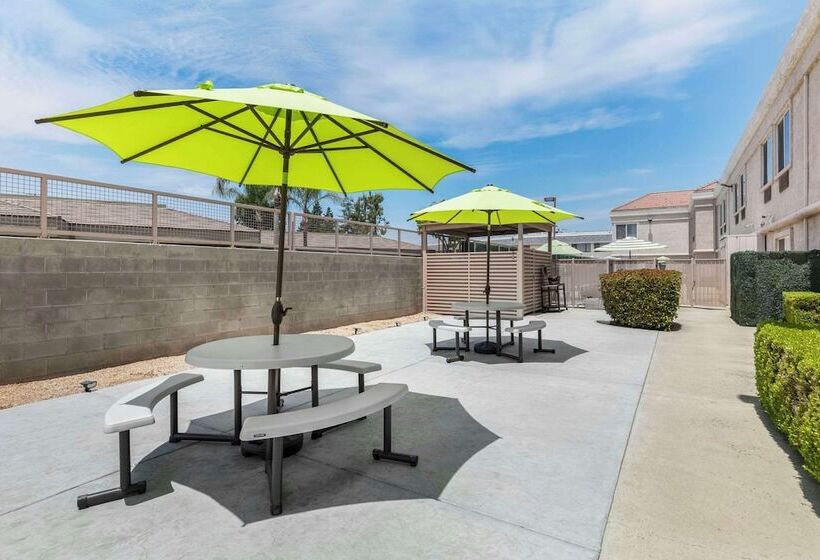 Отель Comfort Suites