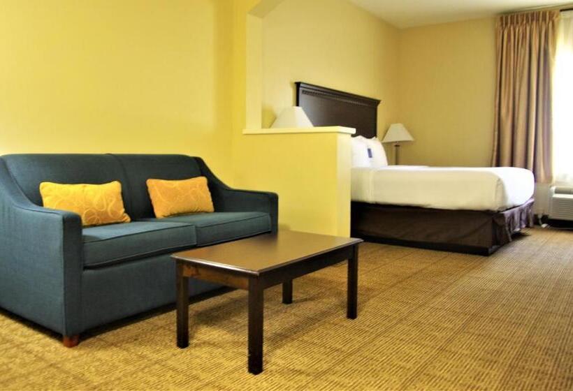 Отель Comfort Suites