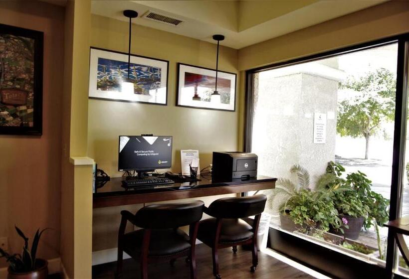 Отель Comfort Suites