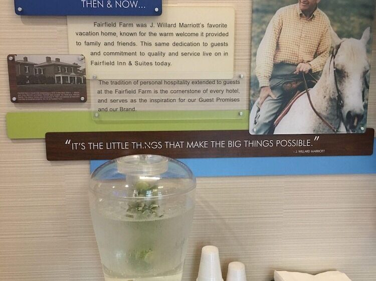 בית מלון כפרי Fairfield Inn & Suites Oakland Hayward