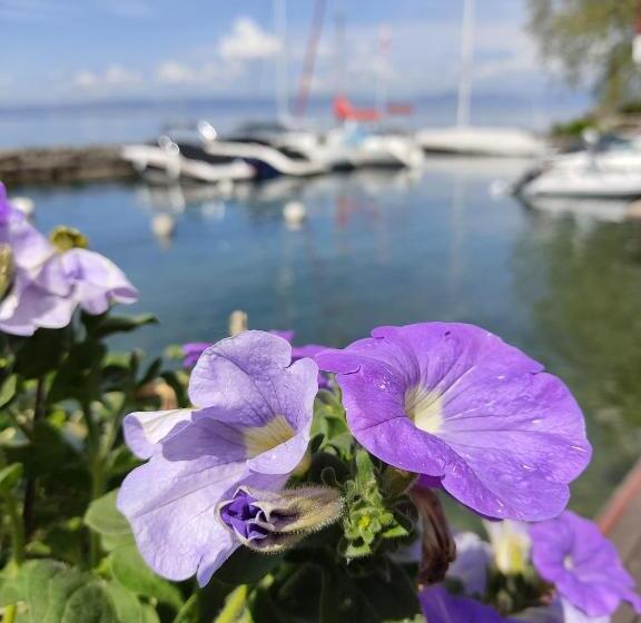 ホテル Hôtel Des Princes