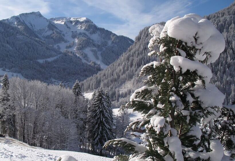 Отель Hôtel Les Triolets