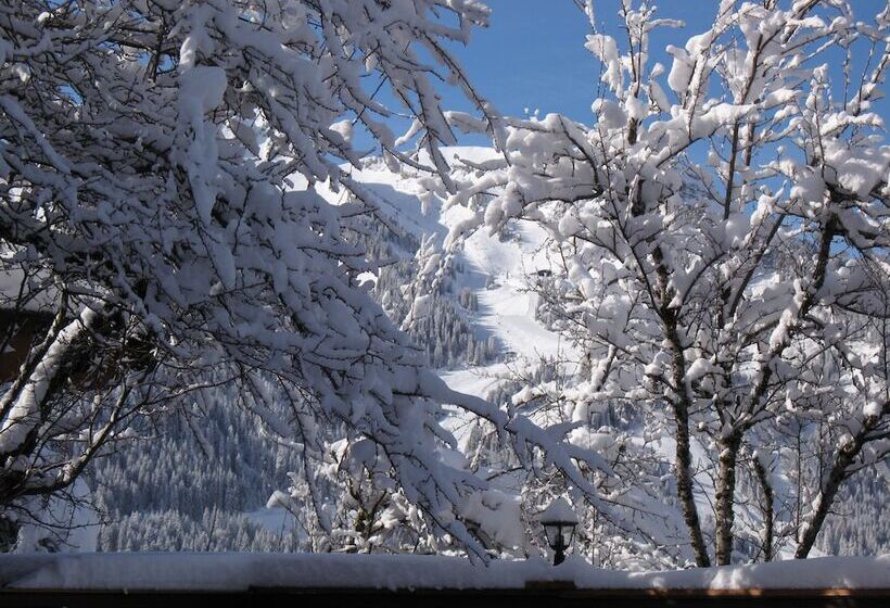 Отель Hôtel Les Triolets