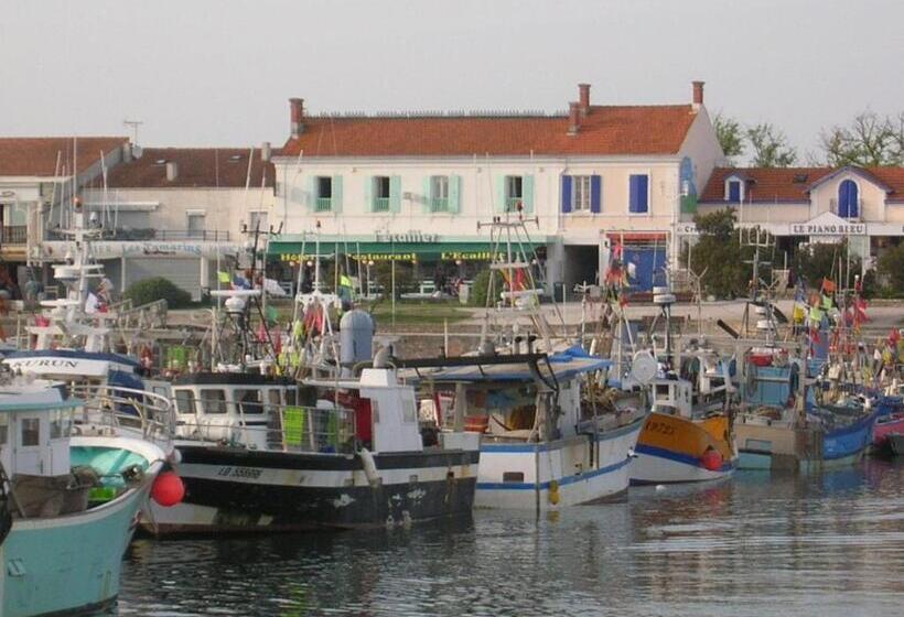 酒店 Hôtel Restaurant L Ecailler