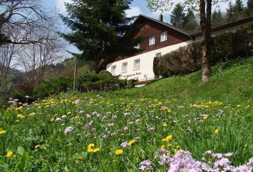 בית מלון כפרי Hôtel Restaurant Le Moulin Du Plain