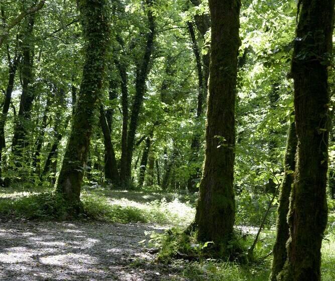 Отель Le Bois Dormant Hôtel Restaurant & Spa Logis Hôtel