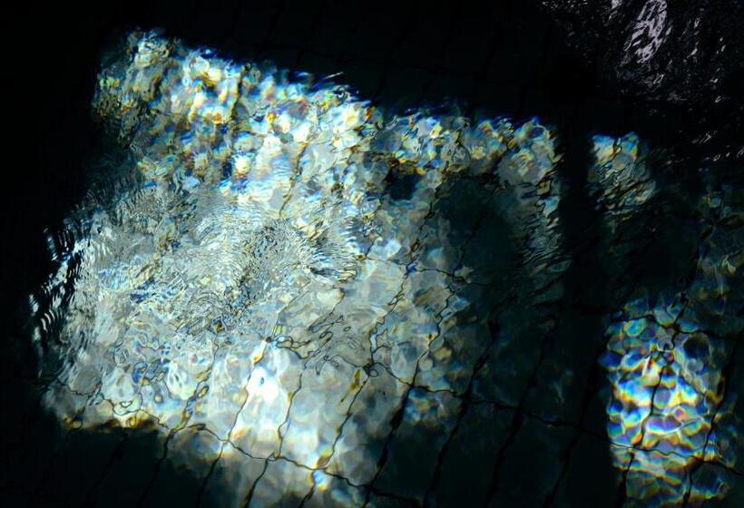 Отель Le Bois Dormant Hôtel Restaurant & Spa Logis Hôtel