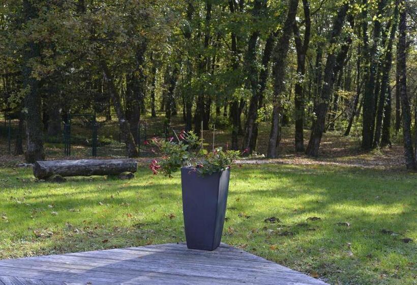 Отель Le Bois Dormant Hôtel Restaurant & Spa Logis Hôtel