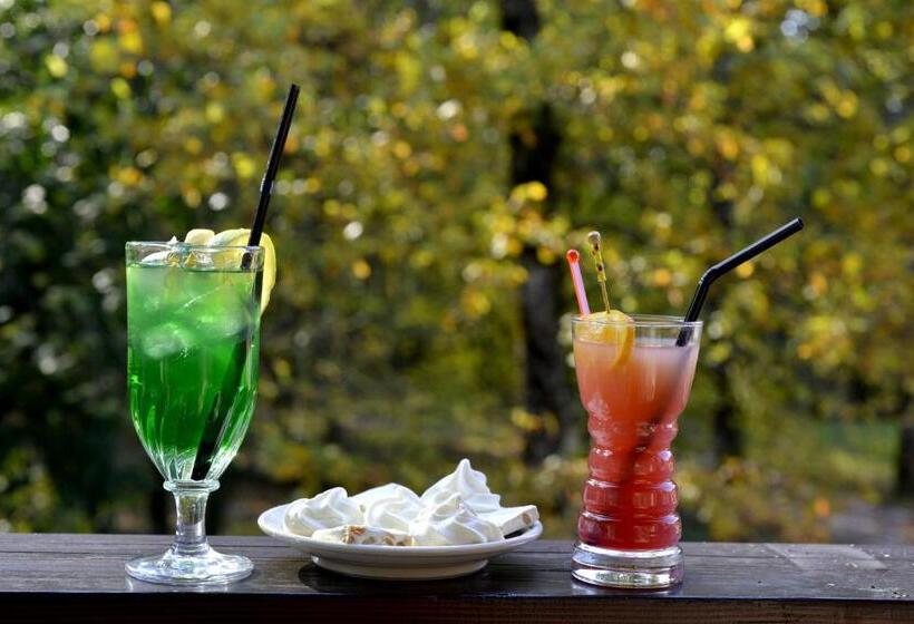 Отель Le Bois Dormant Hôtel Restaurant & Spa Logis Hôtel