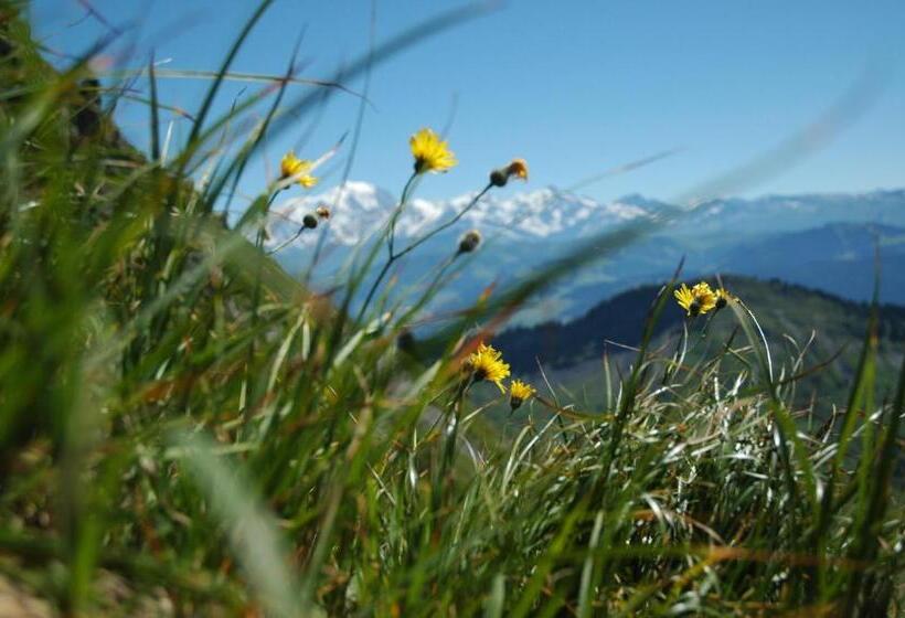 فندق Le Caprice Des Neiges