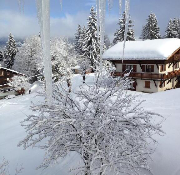 בית מלון כפרי Le Caprice Des Neiges