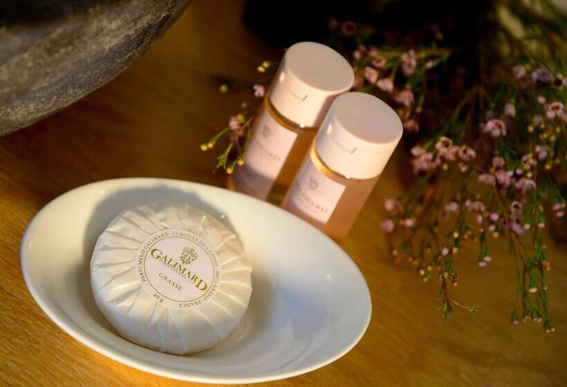 בית מלון כפרי Hôtel Eze Hermitage