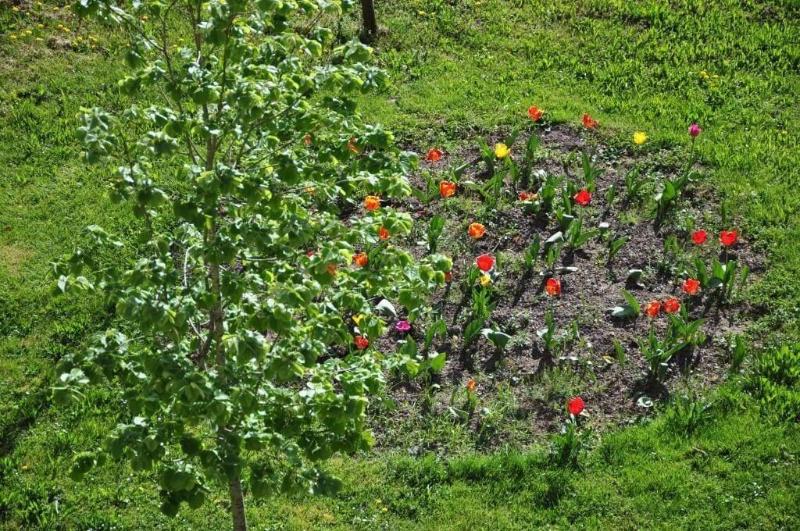 Logis   Hotel Restaurant Du Parc