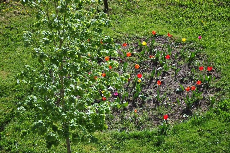 Logis   Hotel Restaurant Du Parc