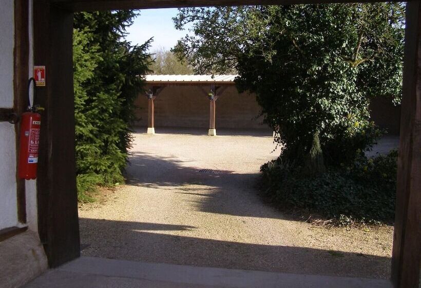 בית מלון כפרי Logis Auberge A La Tete De Lard