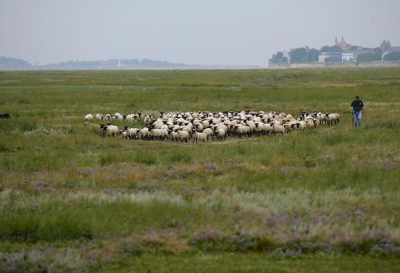 בית מלון כפרי Logis Auberge De La Dune   Hôtel & Restaurant