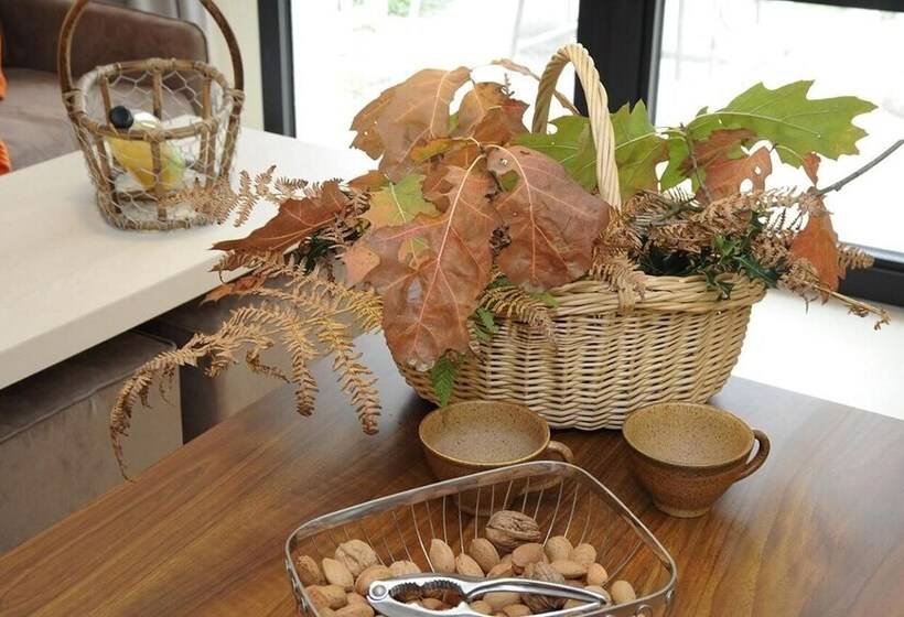 فندق Logis Auberge De La Foret