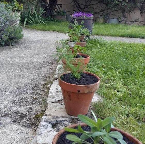 בית מלון כפרי Logis Auberge Le Centre Poitou