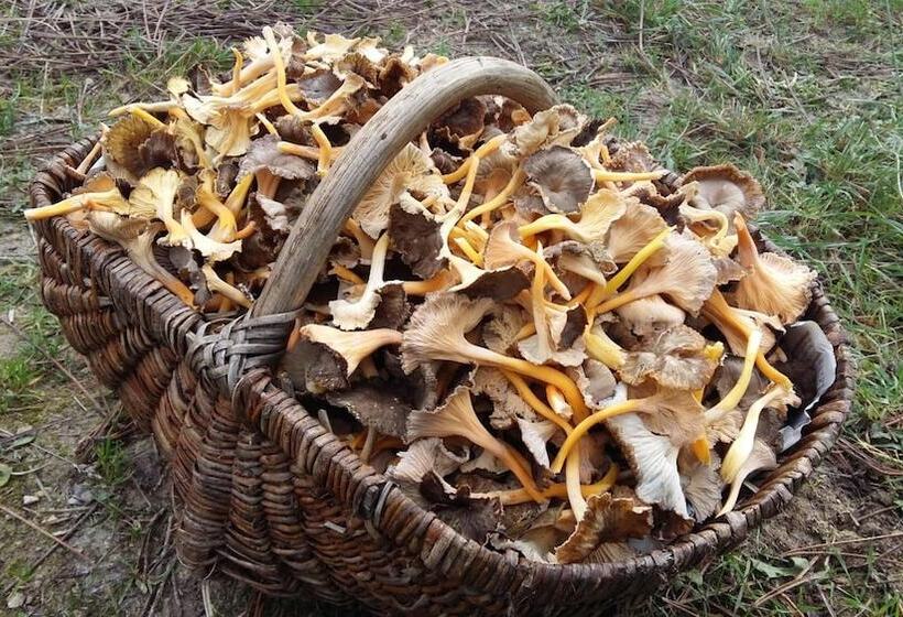 בית מלון כפרי Logis Auberge Le Centre Poitou