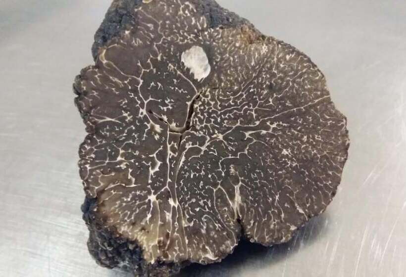 בית מלון כפרי Logis Auberge Le Centre Poitou