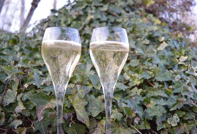 ホテル Logis Bagatelle   51530 Dizy