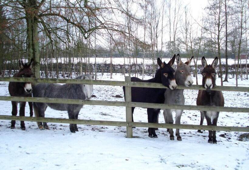 Отель Logis Château De La Motte Hôtel & Restaurant
