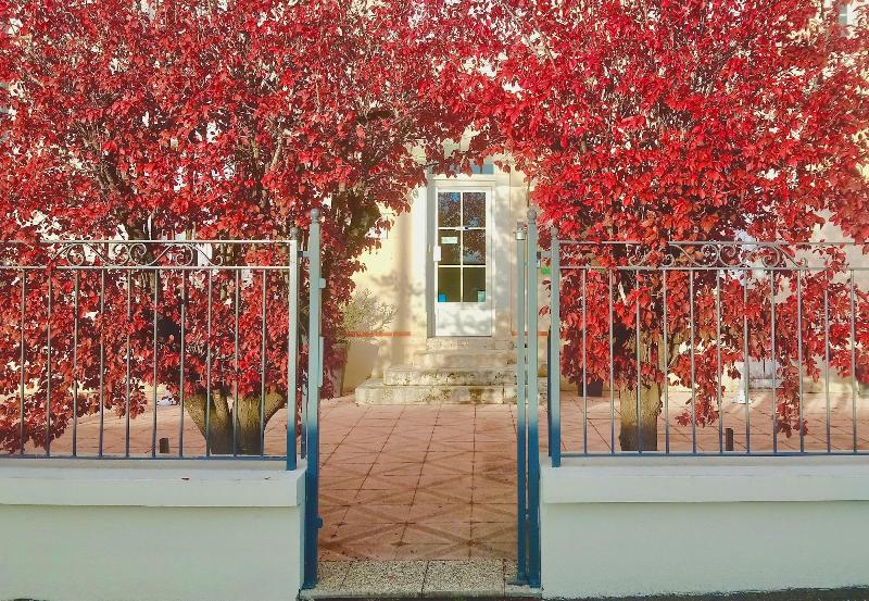 호텔 Logis Hôtel Restaurant Clair Cottage, Chisseaux   Chenonceaux