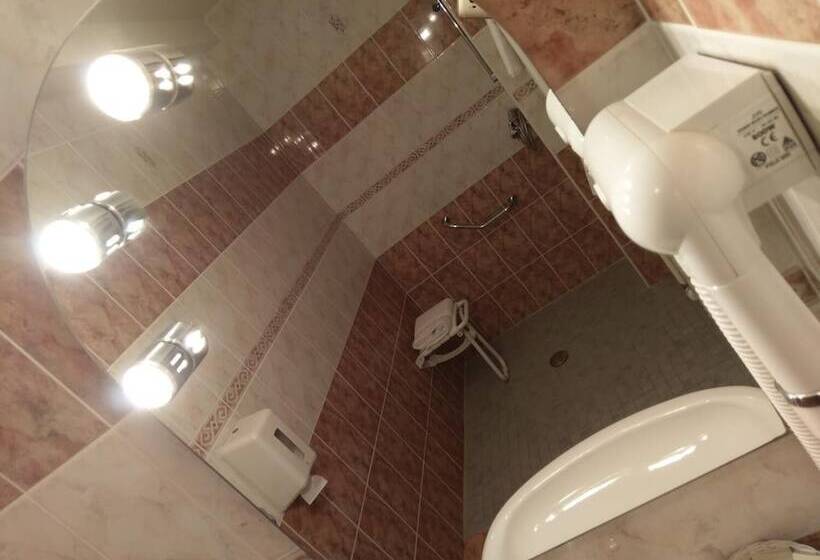 Отель Logis De L Europe Restaurant Le Cepage