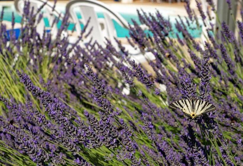 ホテル Logis Des Trois Maures