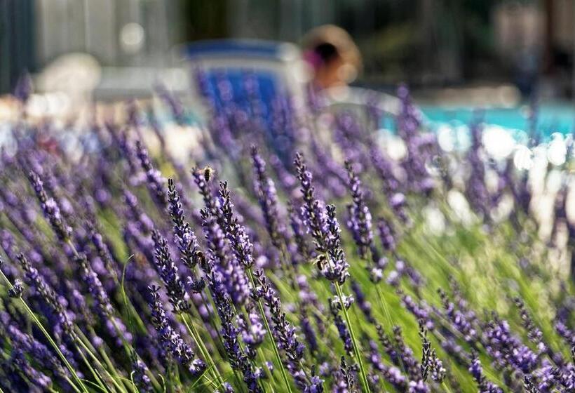 Отель Logis Des Trois Maures