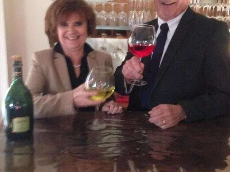 בית מלון כפרי Logis Hôtel Restaurant Du Lion D Argent Et Des Tanneries