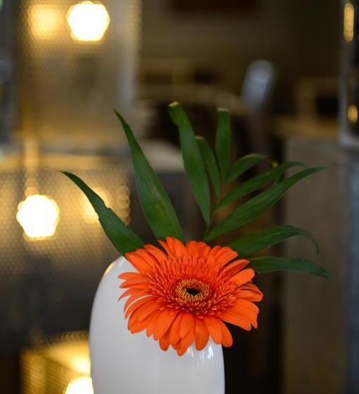 酒店 Logis La Lentillere Restaurant Cote Parc