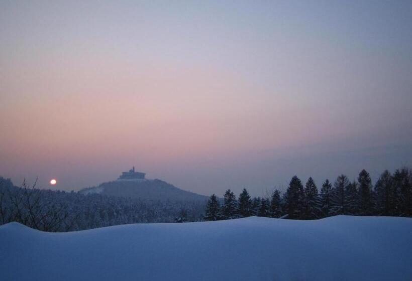 Logis Hotel Les Vosges