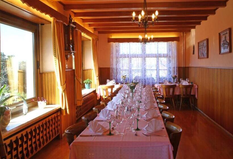 Logis Hotel Les Vosges