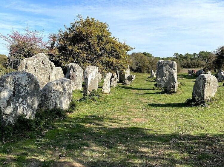 בית מלון כפרי Maison Des Dunes