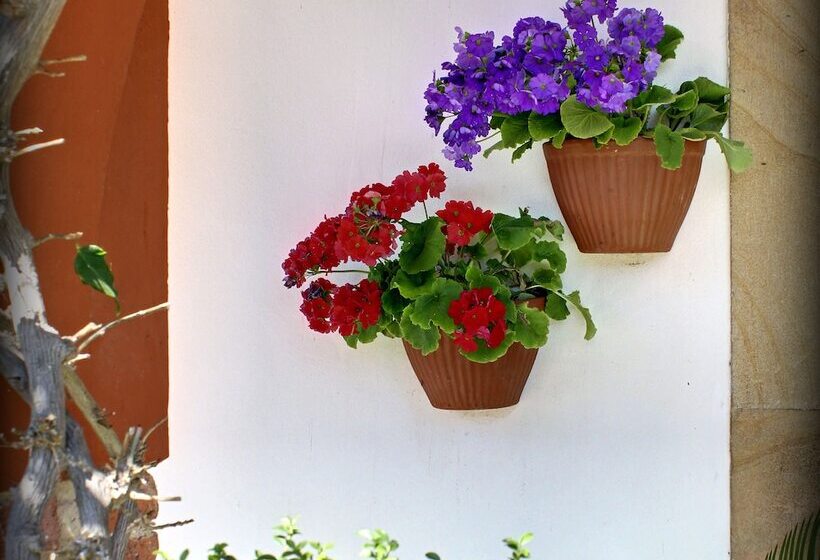 هتل Mar Del Sueve