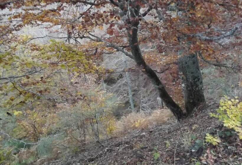 בית מלון כפרי Montaña Palentina