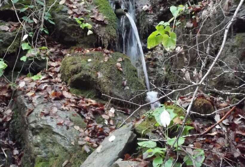 בית מלון כפרי Montaña Palentina