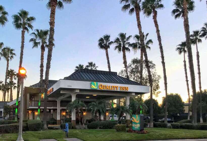 호텔 Quality Inn Riverside Near Ucr And Downtown