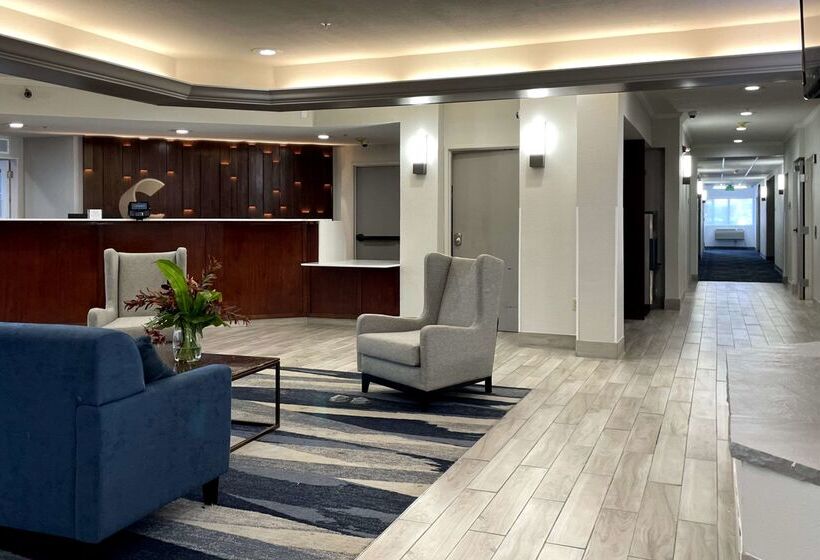 فندق Comfort Suites Denver North   Westminster