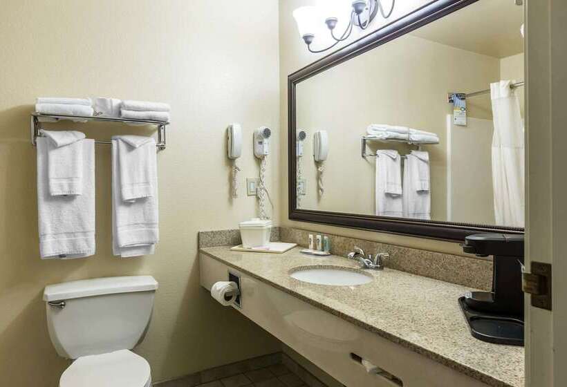 ホテル Quality Inn And Suites Silverthorne Copper Mountain