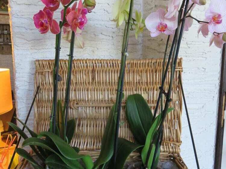 Отель Restaurant Le Traineau