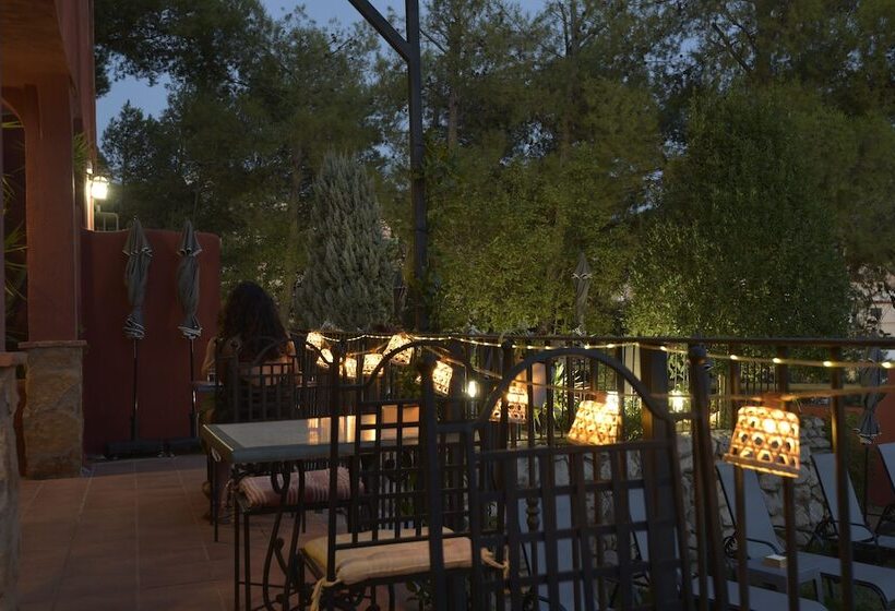 בית מלון כפרי Boutique Cerro Del Sol