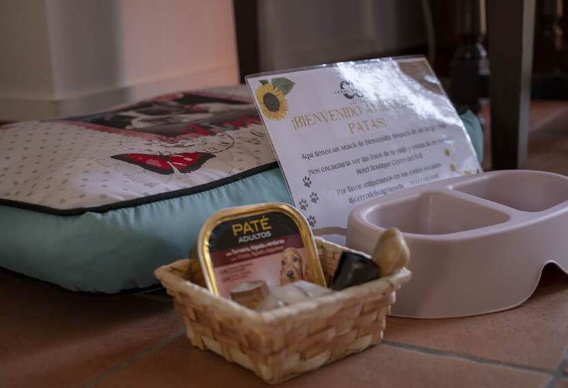 בית מלון כפרי Boutique Cerro Del Sol