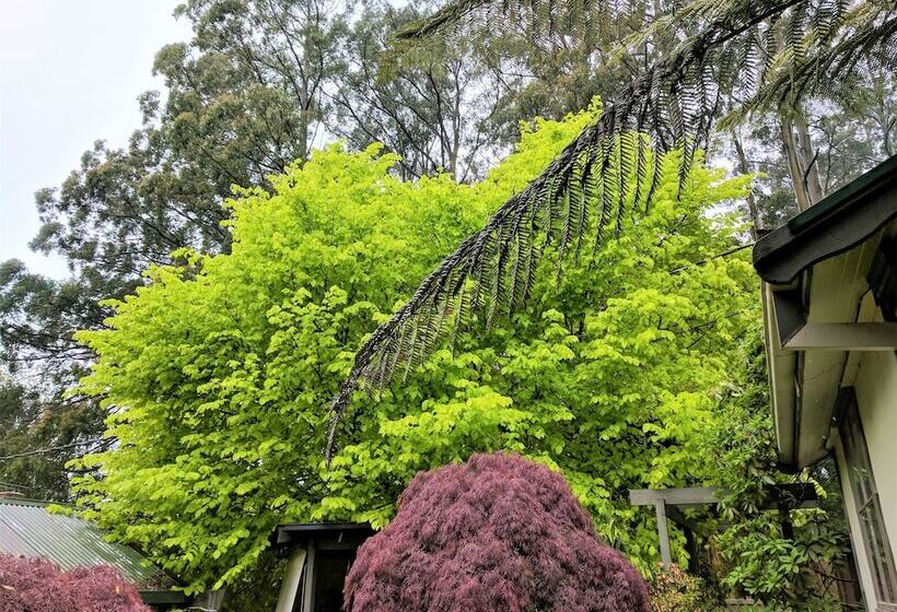 فندق Annie Roe's Luxury Bed & Breakfast