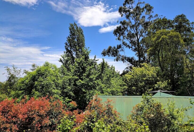 فندق Annie Roe's Luxury Bed & Breakfast