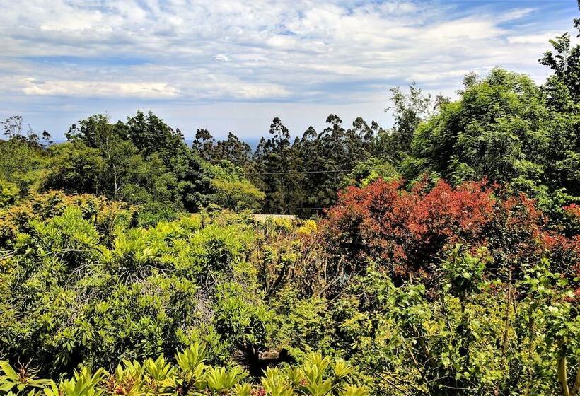 فندق Annie Roe's Luxury Bed & Breakfast