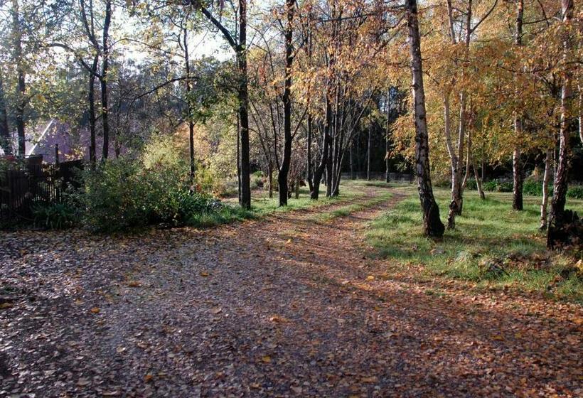 בית מלון כפרי Birdwing Bed And Breakfast